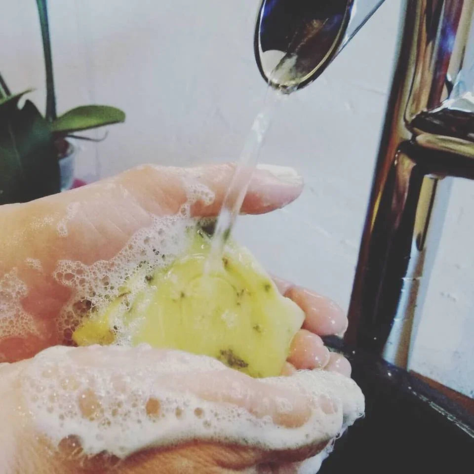 Savon solide certifié bio – Bois de cèdre & Fucus (algue) 90 g